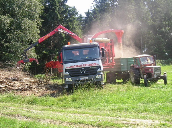 P7050024